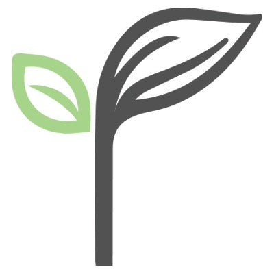Icon of a leaf with a green outline on a white background